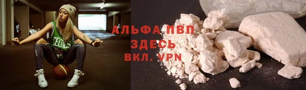 PSILOCYBIN Вяземский