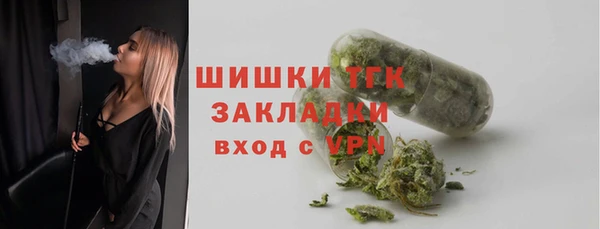PSILOCYBIN Вяземский