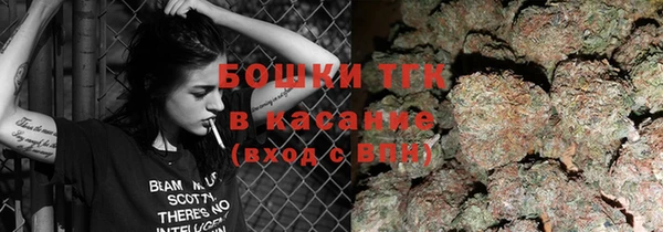 первитин Горняк